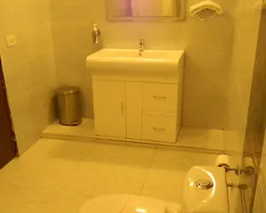 Hotel Shyama International New Delhi